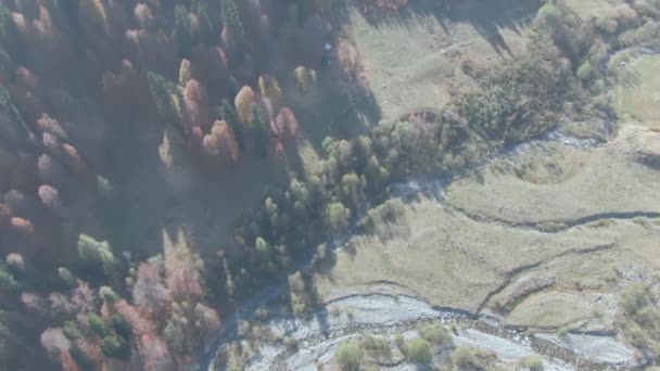 Belles montagnes dans la forêt avec vue sur les oiseaux — Video