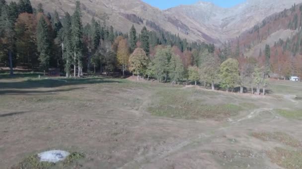 Belles montagnes dans la forêt avec vue sur les oiseaux — Video