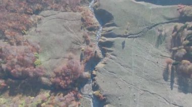 Kuşbakışı manzaralı ormandaki güzel dağlar.