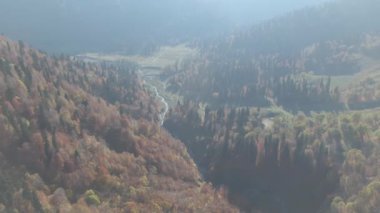 Kuşbakışı manzaralı ormandaki güzel dağlar.