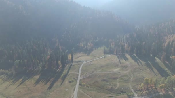 Bellissime montagne nella foresta con vista a volo d'uccello — Video Stock