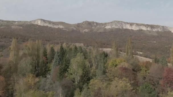 Vista de aves del paisaje montañoso con pinos siempreverdes — Vídeos de Stock