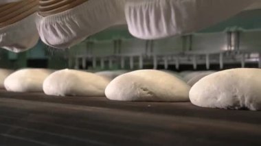Bread dough on the production line in the baking industry. Production of bakery products.