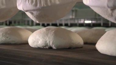 Bread dough on the production line in the baking industry. Production of bakery products.
