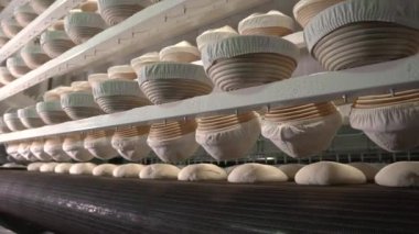 Bread dough on the production line in the baking industry. Production of bakery products.