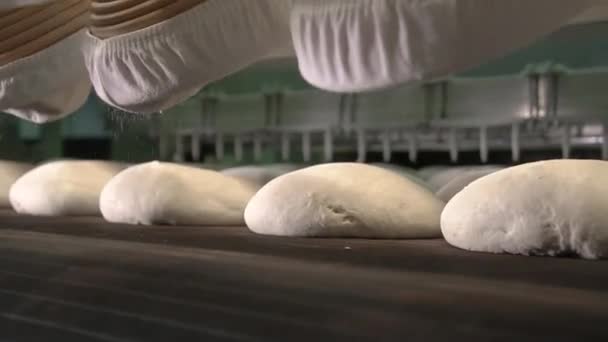 Bröddeg på produktionslinjen i bakverksindustrin. Tillverkning av bageriprodukter. — Stockvideo