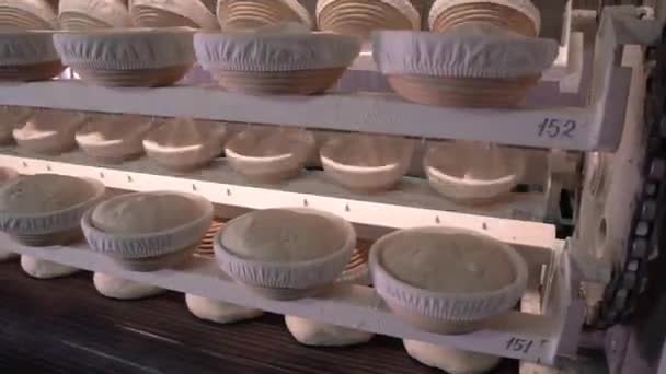 Bread dough on the production line in the baking industry. Production of bakery products. — Stock videók