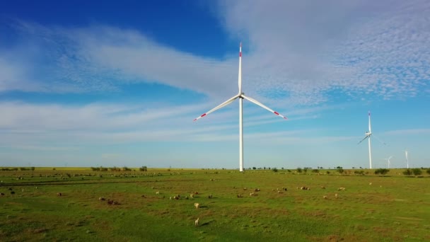 Великі вітрові турбіни з лопатями в полі зору з видом на пташине око, блакитне небо і вівці — стокове відео
