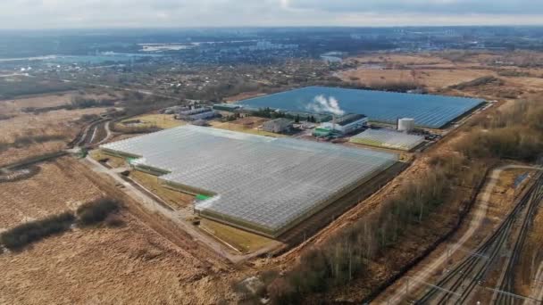 Volando sobre un gran invernadero con verduras, un invernadero con un techo transparente, una vista del invernadero desde arriba — Vídeos de Stock