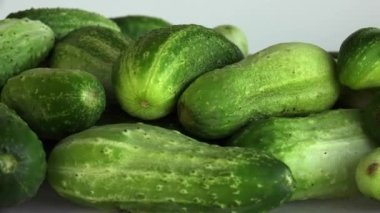 Beyaz arka planda salatalıklar. Taze yeşil çiftlik salatalıkları masada..