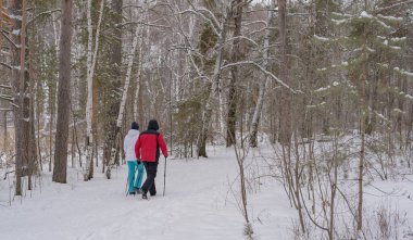 Çiftler kış ormanlarında kuzeye doğru yürürler. Boşluğu kopyala.