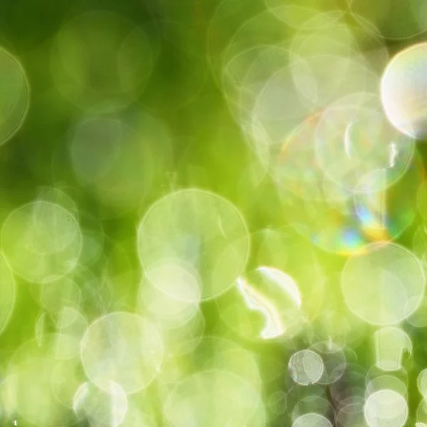 Με φόντο πράσινο γρασίδι. Bokeh - φρέσκα πρωινή δροσιά στη χλόη της άνοιξης. — Φωτογραφία Αρχείου