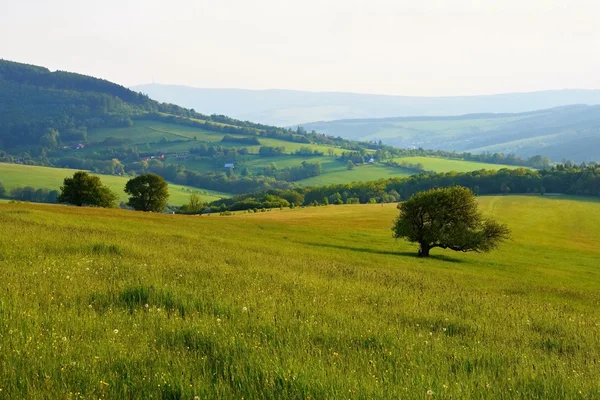 Piękny krajobraz w górach latem. Czechy - Białe Karpaty - Europa. — Zdjęcie stockowe