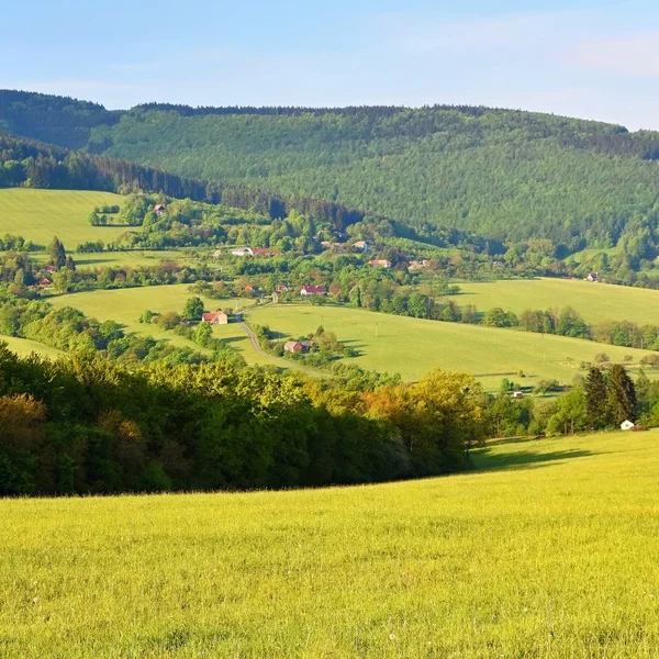 Beau paysage dans les montagnes en été. République tchèque - les Carpates blanches - Europe . — Photo