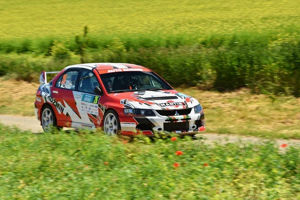 Hustopece, República Checa 18 de junio de 2016. Rally coche . — Foto de Stock