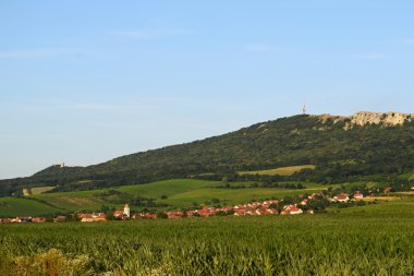 E altında üzüm bağları. Çek Cumhuriyeti - South Moravian Region şarap bölgesi.