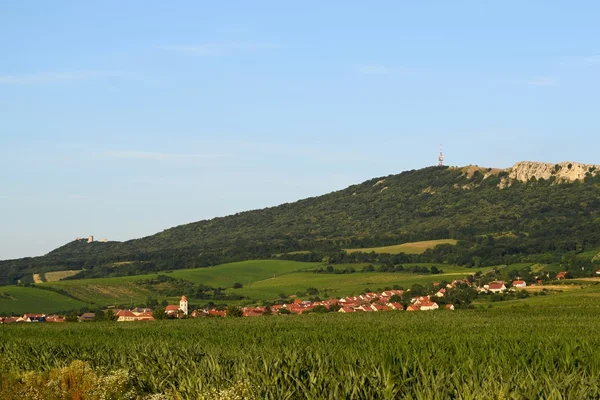 Vigneti Sotto Palava Repubblica Ceca Regione Vinicola Della Moravia Meridionale — Foto Stock