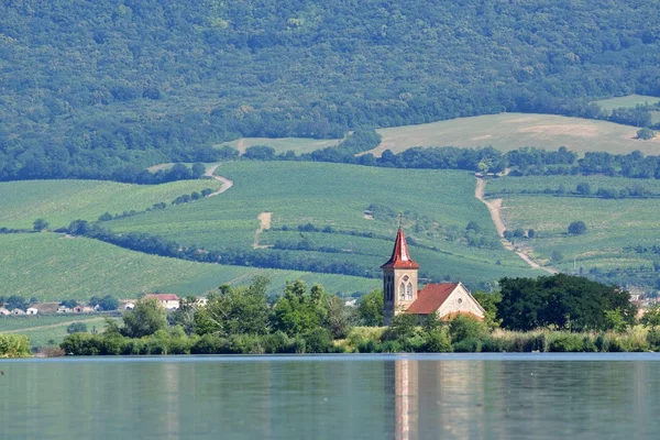 Gölün ortasındaki eski kilise ile ada. Manzara e altında. Çek Cumhuriyeti - South Moravian Region şarap bölgesi. Su tankı - yeni değirmen - Pasohlavky.