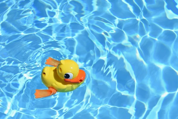 Жовта гумова качка в басейні. Літній фон для подорожей та відпочинку . — стокове фото