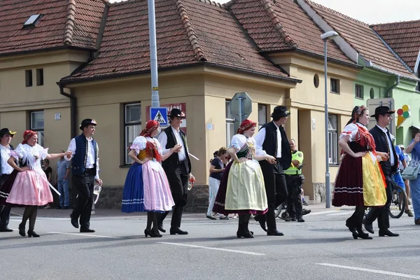 Μπρνο Τσεχική Δημοκρατία Αυγούστου 2016 Παραδοσιακά Γλέντια Της Τσεχίας — Φωτογραφία Αρχείου