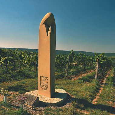 Şarap bölgesi, south Moravia'deki / - Çek Cumhuriyeti. Üzüm bağları - e.