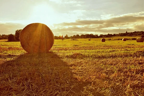 美しい田園風景。収穫のフィールドで干し草の俵。チェコ共和国 - ヨーロッパ。農業の背景 - 収穫. — ストック写真