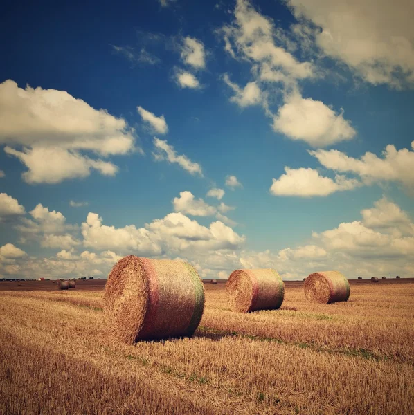 美しい田園風景。収穫のフィールドで干し草の俵。チェコ共和国 - ヨーロッパ。農業の背景 - 収穫. — ストック写真