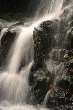 Doğa - derede güzel küçük bir şelale. Ormanda taşların üzerinde akan su ile doğal renklerde bir arka plan..