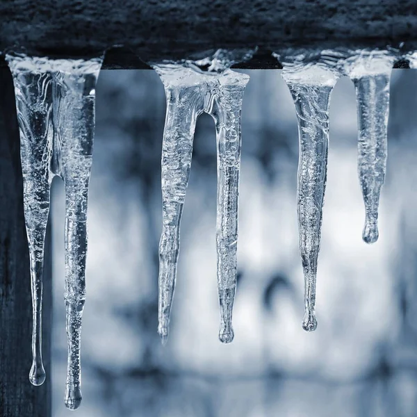 Kışın Buz Saçakları Güzeldir Kış Don Kavramı — Stok fotoğraf