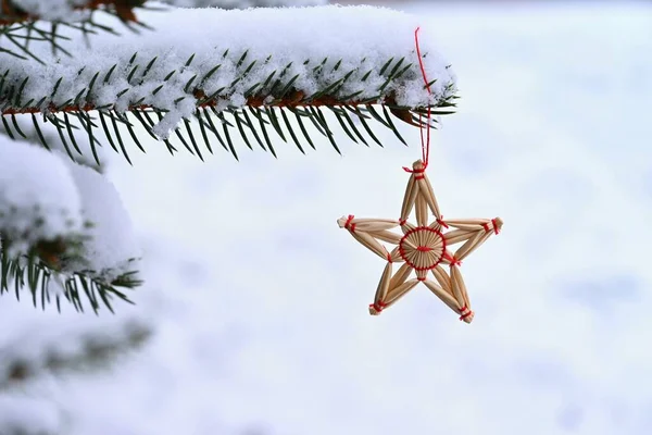 눈덮인 크리스마스 짚으로 아름다운 크리스마스 자연의 — 스톡 사진