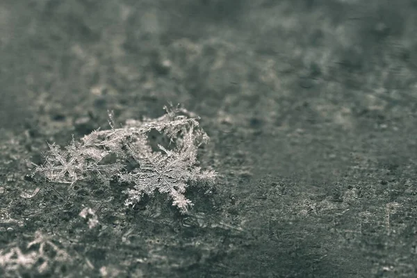 Gerçek Bir Kar Tanesi Kışın Donmuş Kardan Güzel Bir Makro — Stok fotoğraf
