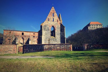 The Rosa Coeli monastery. Ancient catholic ruin of women monastery near Dolni Kounice - Czech Republic. clipart