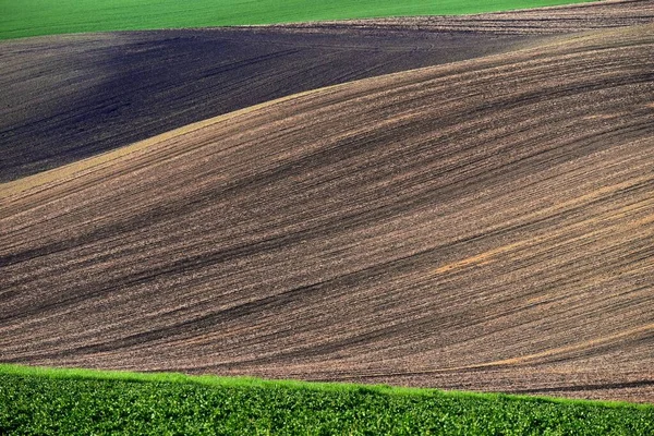 Gyönyörű Tavaszi Táj Waves Field Moravian Toszkána Cseh Köztársaság — Stock Fotó