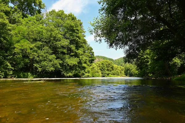 Beautiful summer landscape with river, forest, sun and blue skies. Natural colorful background. Jihlava River, Czech Republic - Europe