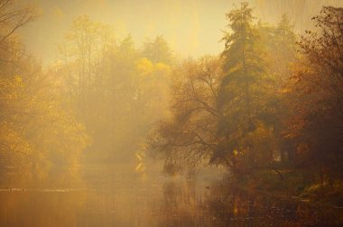 Sonbahar parkında renkli yapraklar. Sonbahar döneminde renkli mevsimsel doğa geçmişi kavramı.