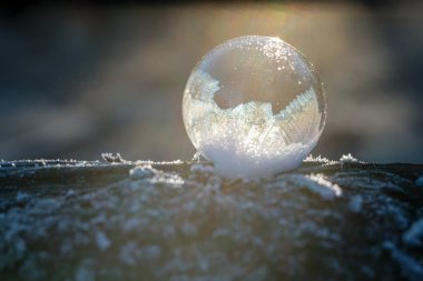 Doğadaki donmuş baloncuk. Kışın doğanın güzel bir makro çekimi. Çevre, su ve don kavramı.