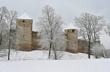 Çek Cumhuriyeti, Veveri Brno 'nun güzel eski kalesi. Şatoyu çevreleyen kar ve doğa ile kış manzarası.