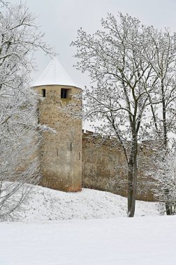 Çek Cumhuriyeti, Veveri Brno 'nun güzel eski kalesi. Şatoyu çevreleyen kar ve doğa ile kış manzarası.