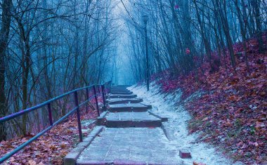 Winter Park merdiven