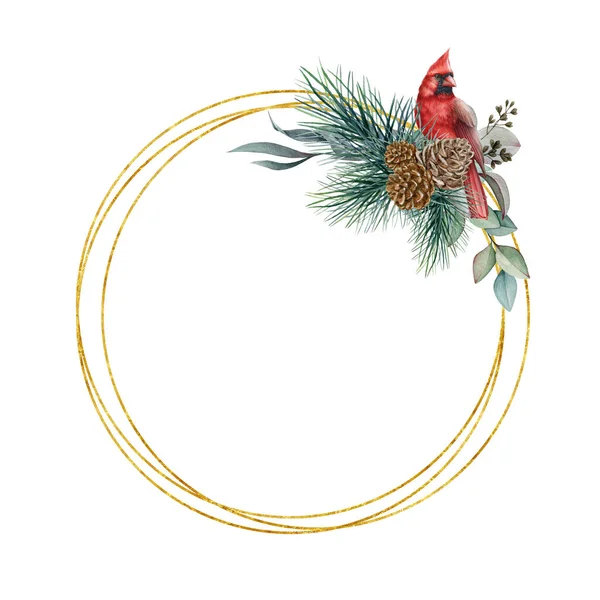 Floral round frame with red cardinal bird watercolor illustration. Hand drawn elegant rustic winter decoration with natural elements: bird, eucalyptus, pine, cone. Isolated on white background