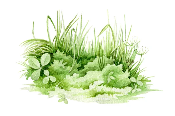 Пасхальная зелёная трава закрывает акварельную иллюстрацию. Пышная весенняя трава - элемент луга. Фон с клевером, свежими травами и натуральными растениями. — стоковое фото
