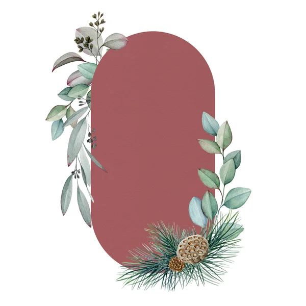 楕円形のフレーム水彩イラストと冬の花の配置。手の冬のお祝いのフレームを描いた。自然の森の要素とクリスマスの装飾:ユーカリ、松や白い背景にコーン — ストック写真