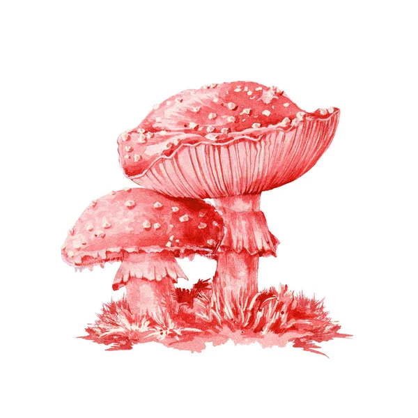 Amanita muscaria pericoloso fungo rosso acquerello illustrazione. Chiudere botanico tossico immagine paio di rospo. Sgabello velenoso amanita con muschio della foresta ed erba isolata su sfondo bianco. — Foto Stock