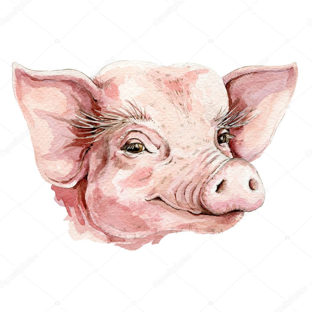 Happy little pig watercolor illustration. Small piglet portrait - farm domestic animal image element. Isolated on white background.