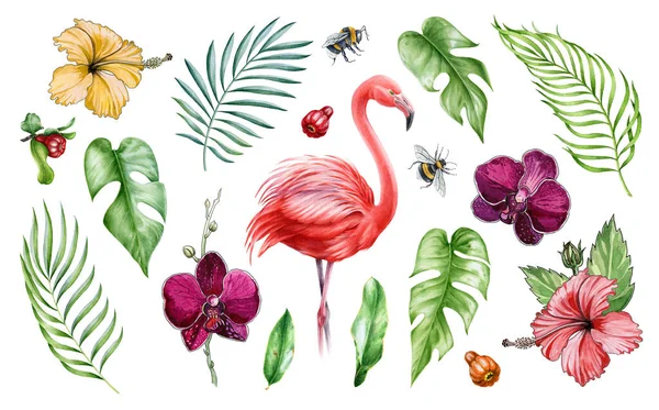 フラミンゴの鳥と熱帯の花の水彩セット。夏のカラフルな野生生物の水彩セット。蘭、ハイビスカス、ヤシの葉、モンスターの要素と手描きエキゾチックな花植物コレクション. — ストック写真