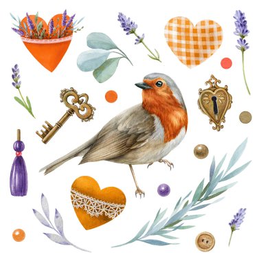 Robin Bird vintage suluboya çizim seti. El yapımı köy kuşu, kalpler, lavanta çiçekleri, okaliptüs yaprakları. Sevgililer Günü ya da düğün illüstrasyon kalpleri, çiçek elementleri