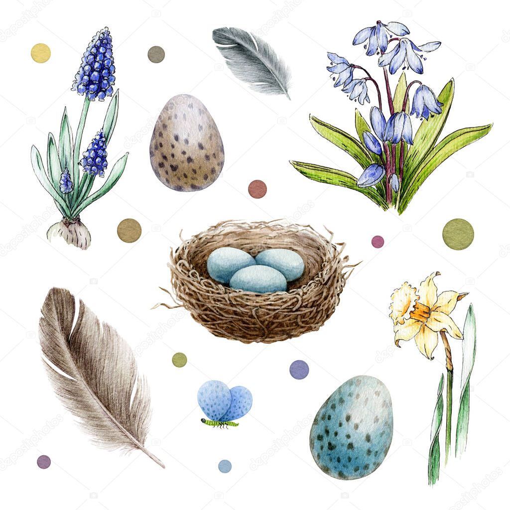 Spring forest elements watercolor set. Hand drawn blooming garden flowers, bird eggs, nest, feather, rustic element collection. Spring time tender blossom forest floral set on white background
