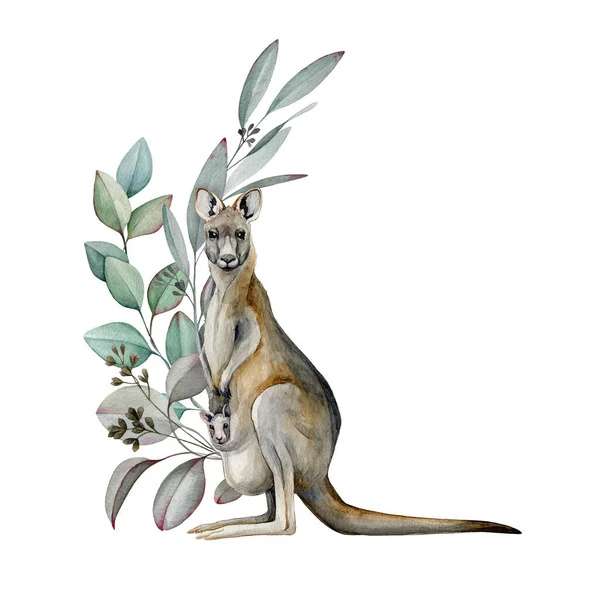 Kangaroo with eucalyptus leaves watercolor image. Australia animal with floral decoration. Beautiful wildlife decor. Evergreen aroma eucalyptus branch and kangaroo hand drawn realistic illustration. — Zdjęcie stockowe