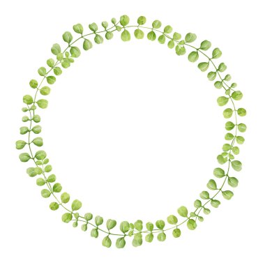 Çiçeksel gerçekçi çelenk suluboya çizimi. Çayır çiçeklerinden elde çizilmiş zarif bir botanik çiçeği çelengi. Çimen yuvarlak dekorasyonu. Beyaz arkaplanda bahar doğal çember dekoru