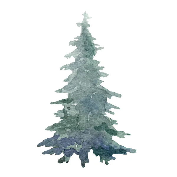 Fir tree single watercolor image. Hand drawn relistic lush pine illustration Green forest plant element. Christmas tree object on white background. Evergreen natural spruce green festive tree — Stock Photo, Image